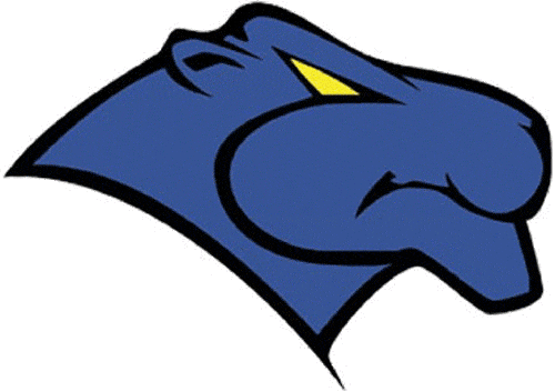 Georgia State Panthers 1997-2001 Primary Logo DIY iron on transfer (heat transfer)